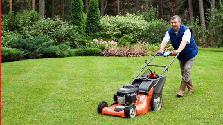 Image of man pushing a lawnmower.